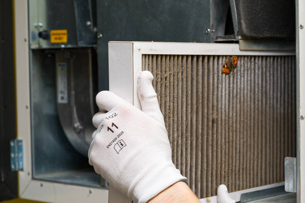 Best Air Duct Cleaning Near Me  in Cheney, KS